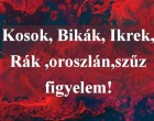 Kosok, Bikák, Ikrek,Rák ,oroszlán,szűz figyelem! Holnapi horoszkóp