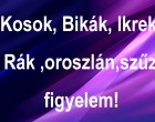 Kosok, Bikák, Ikrek,Rák ,oroszlán,szűz figyelem! Holnapi horoszkóp