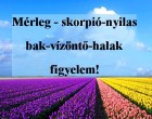 Mérleg - skorpió-nyilas -bak-vízöntő-halak figyelem!Holnapi horoszkóp