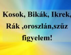 Kosok, Bikák, Ikrek,Rák ,oroszlán,szűz figyelem! Mai horoszkóp