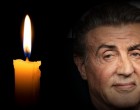 Teljesen összeomlottak Sylvester Stallone rajongói. Lesújtó hír érkezett a legendás színészről…Gyászba borult Stallone rajongóinak közössége…