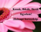 Kosok, Bikák, Ikrek,Rák ,oroszlán,szűz figyelem! Holnapi horoszkóp (vasárnap)