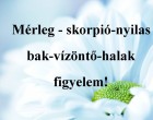 Mérleg - skorpió-nyilas -bak-vízöntő-halak figyelem!Mai horoszkóp (péntek)