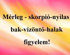 Mérleg - skorpió-nyilas -bak-vízöntő-halak figyelem!Holnapi horoszkóp (kedd)