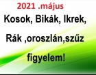 Megérkezett a nagy 2021-es májusi horoszkóp:Kosok, Bikák, Ikrek,Rák ,oroszlán,szűz figyelem!