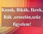 Kosok, Bikák, Ikrek,Rák ,oroszlán,szűz figyelem hatalmas változást hoz a holnapi nap!Holnapi horoszkóp (szombat)