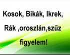 Kosok, Bikák, Ikrek,Rák ,oroszlán,szűz figyelem hatalmas változást hoz a MAI nap!MAI horoszkóp (kedd)