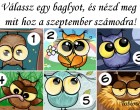 Válassz egy baglyot, és nézd meg mit hoz a szeptember számodra!