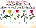 Kívánj valamit, majd válassz egyet a rózsák közül!Döntésedből kiderül, mikor teljesül be a kívánságod