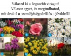 Válaszd ki a  legszebb virágot! Válassz egyet, és megtudhatod, mit árul el a személyiségedről és a jövődről!