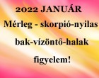 Megérkezett a nagy 2022-es januári horoszkóp:Mérleg - skorpió-nyilas -bak-vízöntő-halak figyelem!