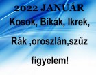 Ikrek,Oroszlán,Szűz,Bika,Rák,Kos: Sorsfordulatokban bővelkedő JANUÁR vár ránk 2022-ben!