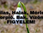 Nyilas, Halak, Mérleg, Skorpió, Bak, Vízöntő! Nem semmi fordulatokat hoz a február 20-i hétvége!