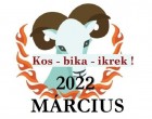 Kos – bika – ikrek ! Hatalmas fordulattal a nyakunkon a tavasz! Sze­ren­cse­ho­rosz­kóp 2022 márciusára!