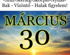 Kos - Bika - Ikrek-Rák-Oroszlán-Szűz-Mérleg-Skorpió-Nyilas-Bak - Vízöntő - Halak figyelem!Hatalmas változást hoz a holnapi nap!Holnapi horoszkóp (SZERDA)