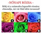 -Nőnapi rózsa!- Bökj rá a számodra legszebb rózsára: elmondja, mi vár Rád idén tavasszal