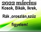 Megérkezett a nagy 2022-es márciusi horoszkóp:Kosok, Bikák, Ikrek,Rák ,oroszlán,szűz figyelem!