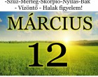 Kos - Bika - Ikrek-Rák-Oroszlán-Szűz-Mérleg-Skorpió-Nyilas-Bak - Vízöntő - Halak figyelem!Hatalmas változást hoz a holnapi nap!Holnapi horoszkóp (SZOMBAT)