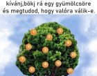 Kívánj valamit, válassz ki egy gyümölcsöt és nézd meg, hogy valóra válik-e 2022 áprilisban!