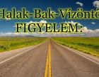 Halak-Bak-Vízöntő: Sokak életében nagy változás indul ezen a gyönyörű tavaszi hétvégén!