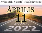 Kos - Bika - Ikrek-Rák-Oroszlán-Szűz-Mérleg-Skorpió-Nyilas-Bak - Vízöntő - Halak figyelem!Hatalmas változást hoz a holnapi nap!Holnapi horoszkóp (HÉTFŐ)