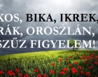 Kos,Bika, Oroszlán,Ikrek, Rák, Szűz: hihetetlen szerencse köszönt erre a jegyre a hétvégén!