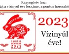 Ragyogó év lesz : 2023-as Vízinyúl éve lesz, íme, a pontos horoszkóp! Ez vár rád 2023 - ban a kínai horoszkóp szerint!