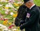 Nem megy könnyek nélkül, pedig sokan észre se vették őt. Szívfájdítóan szép, ahogy Emma búcsúzott Erzsébet királynőtől! A szemét figyeld Emmának!