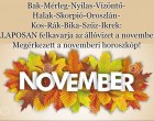 Bak-Mérleg-Nyilas-Vízöntő-Halak-Skorpió-Oroszlán-Kos-Rák-Bika-Szűz-Ikrek: ALAPOSAN felkavarja az állóvizet a november! Megérkezett a novemberi horoszkóp!