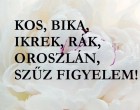 Kos,Bika,Oroszlán,Szűz,Ikrek,Rák figyelem! Májusban Fortuna szélesre tárja Neked a siker kapuját!