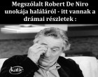 SZÍVSZORÍTÓ:Megszólalt Robert De Niro unokája haláláról- ezek a szomorú tények