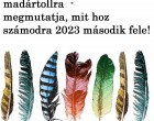 Bökj a legszebb madártollra – megmutatja, mit hoz számodra 2023 második fele!