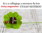 Ez a 4 csillagjegy a szerencse fia lesz 2023-augusztus UTOLSÓ HETÉBEN!