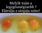 Melyik tojás a legegészségesebb? Elárulja a sárgája színe