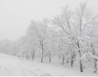 Borzalmasan hideg tél vár ránk! ITT A NAGY 3 HÓNAPOS előrejelezés: DECEMBERRE, JANUÁRRA, FEBRUÁRRA!