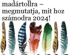 Bökj a legszebb madártollra – megmutatja, mit hoz számodra 2024