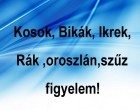 Kosok, Bikák, Ikrek,Rák ,oroszlán,szűz figyelem! Holnapi horoszkóp (HÉTFŐ)