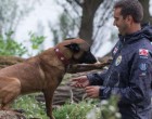 Elhunyt Symba, a Magyar hős mentőkutya, akinek nevét a világ legjobbjai között jegyezték