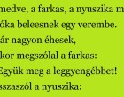 A medve, a farkas, a nyuszika meg a róka beleesnek egy verembe.