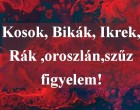 Kosok, Bikák, Ikrek,Rák ,oroszlán,szűz figyelem! Mai horoszkóp