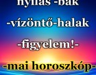 Mérleg - skorpió-nyilas -bak-vízöntő-halak figyelem!-mai horoszkóp- HÉTFŐ