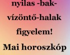 Mérleg - skorpió-nyilas -bak-vízöntő-halak figyelem!