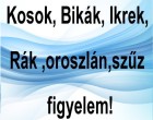 Kosok, Bikák, Ikrek,Rák ,oroszlán,szűz figyelem!Mai horoszkóp (hétfő)