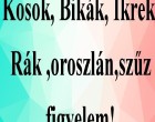 Kosok, Bikák, Ikrek,Rák ,oroszlán,szűz figyelem! Mai horoszkóp (KEDD)