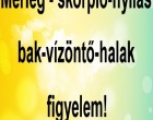 Mérleg - skorpió-nyilas -bak-vízöntő-halak figyelem!Mai horoszkóp -PÉNTEK -