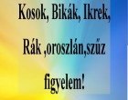 Kosok, Bikák, Ikrek,Rák ,oroszlán,szűz figyelem!Mai horoszkóp (VASÁRNAP)