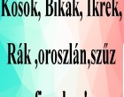 Kosok, Bikák, Ikrek,Rák ,oroszlán,szűz figyelem! Mai horoszkóp (HÉTFŐ)