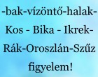 Mérleg - skorpió-nyilas -bak-vízöntő-halak-Kos - Bika - Ikrek-Rák-Oroszlán-Szűz figyelem!