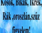 Figyelem!Kosok, Bikák, Ikrek,Rák ,oroszlán,szűz figyelem! Mai horoszkóp!