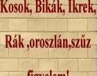 Kosok, Bikák, Ikrek,Rák ,oroszlán,szűz figyelem!Mai horoszkóp